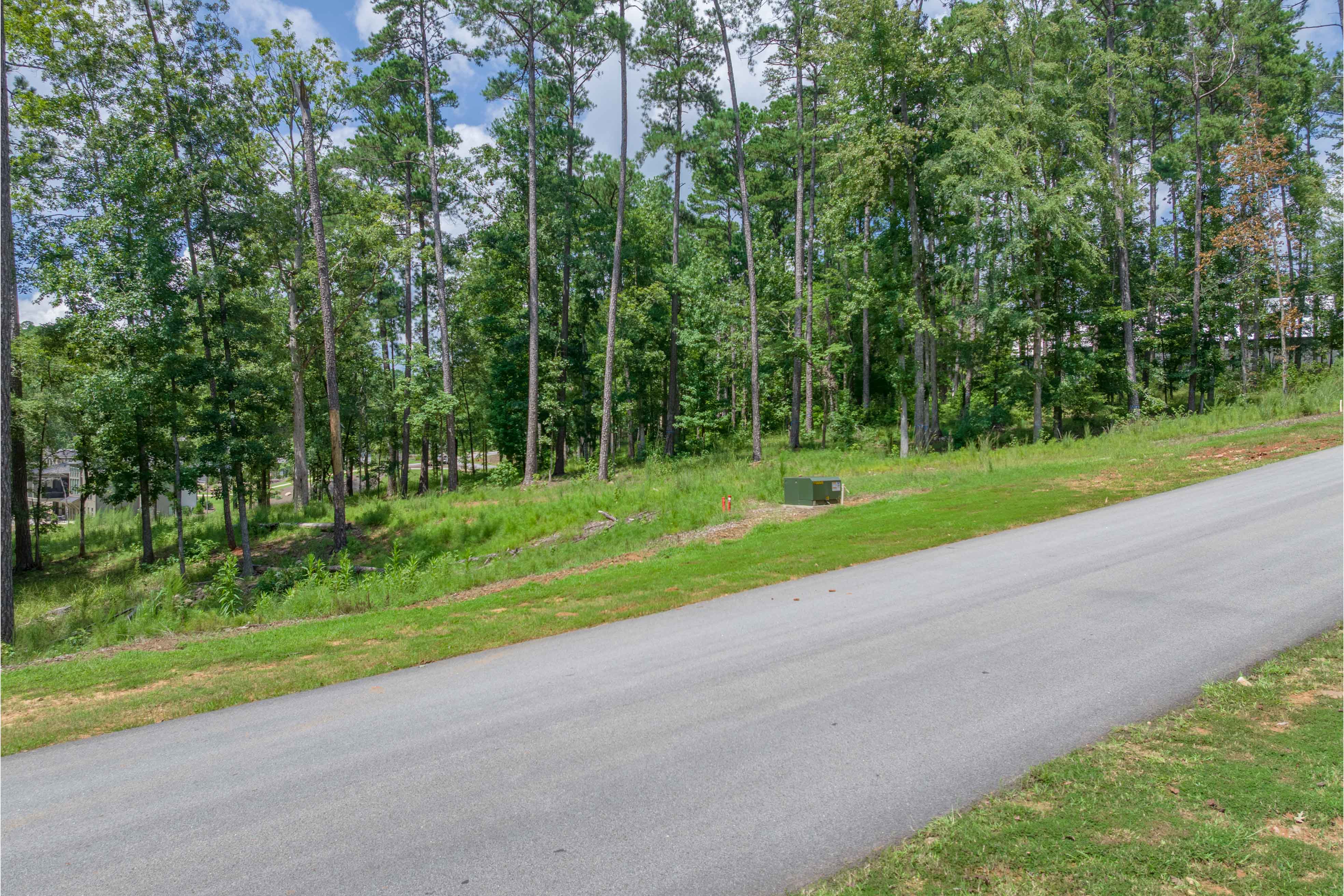 1491 Night Heron Drive image 3